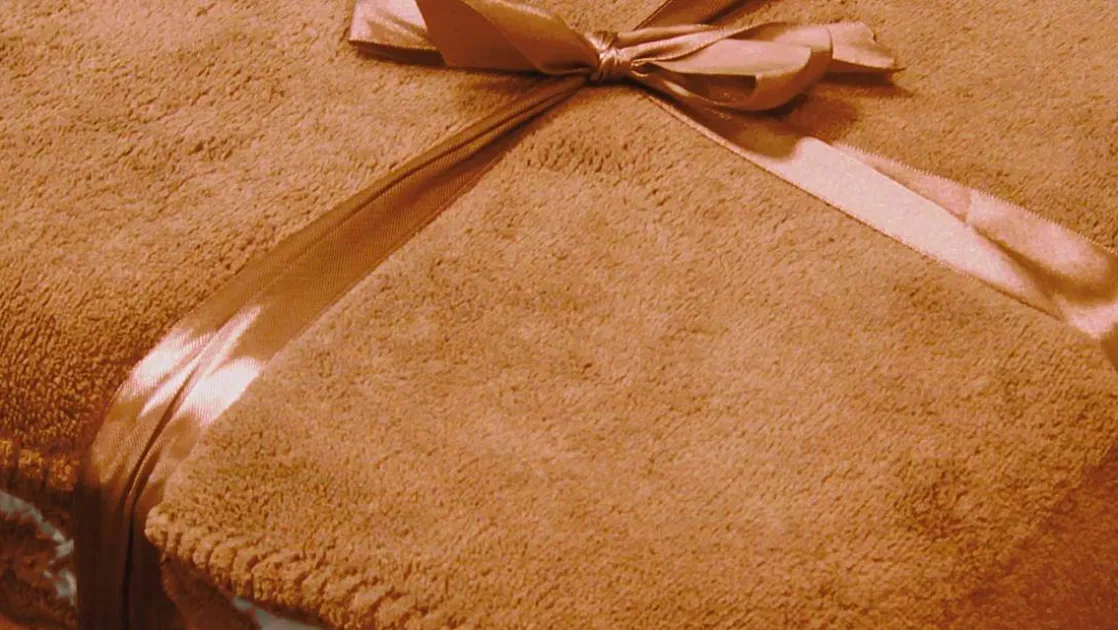 Coby fleece plaid