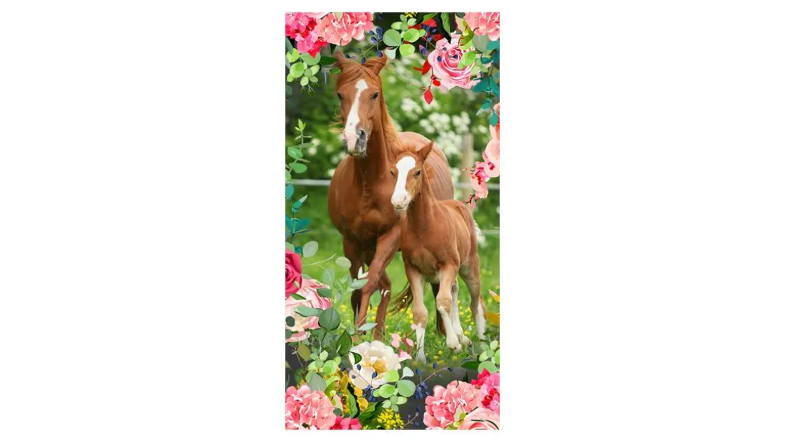 Foal strandlaken