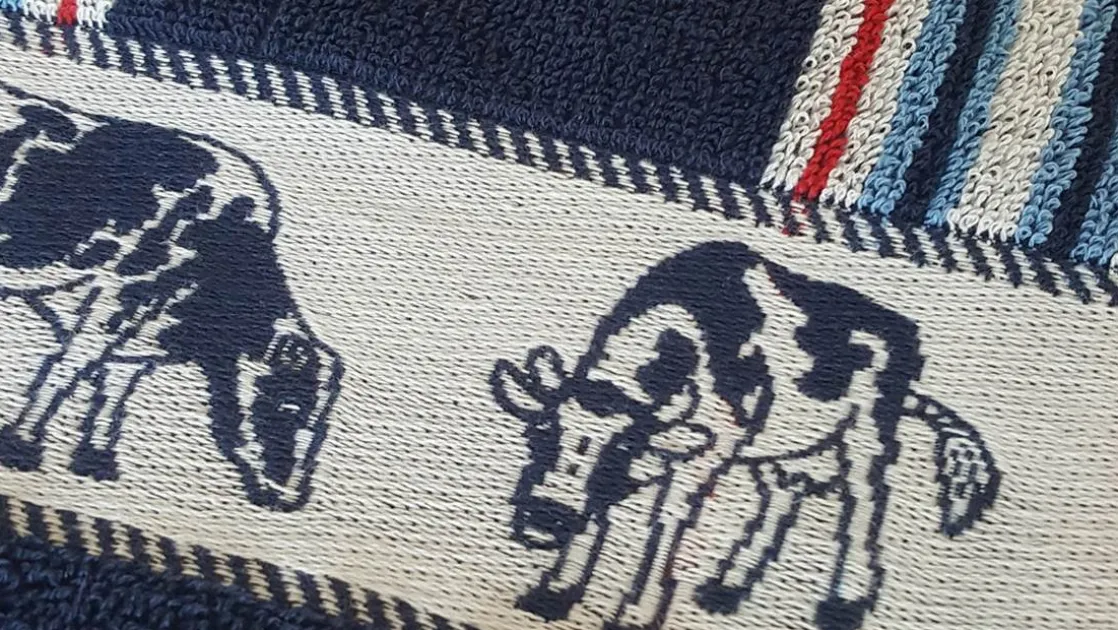 Friesian keukendoek (set van 6)