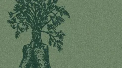 Greens Keukendoek (set van 6)