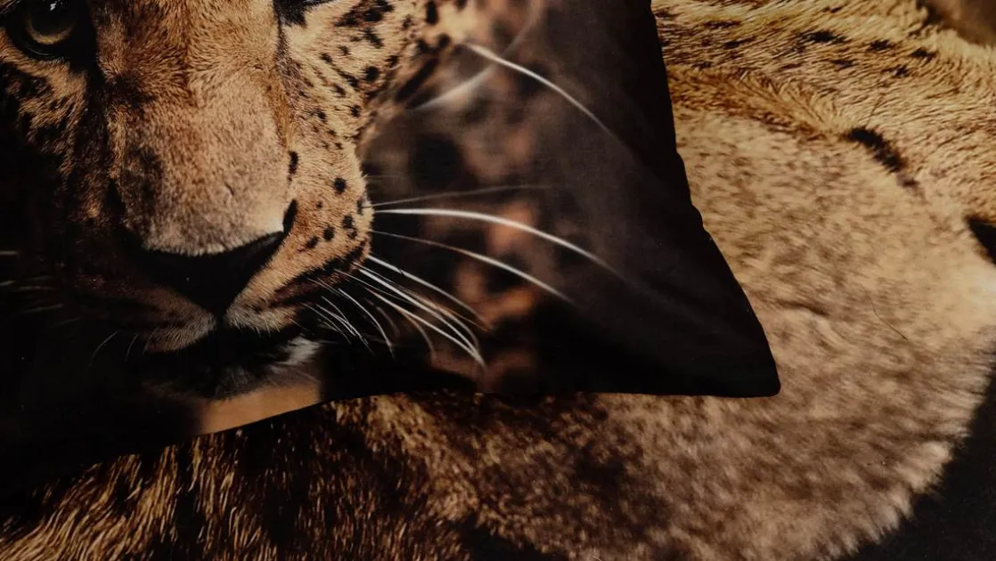 Lupard dekbedovertrek