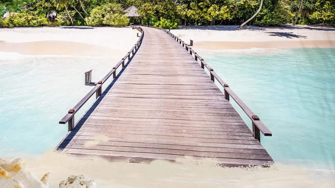 Moana dekbedovertrek